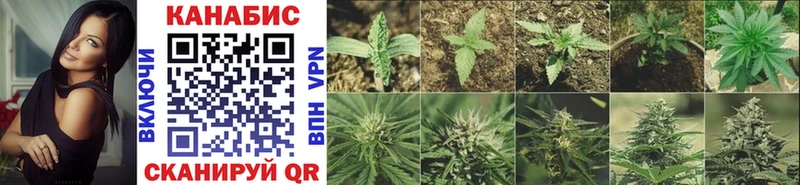 Все наркотики Вышний Волочёк Cocaine Марихуана Меф мяу мяу APVP ГАШИШ
