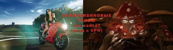 стаф Мегион