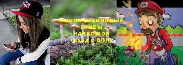 стаф Мегион
