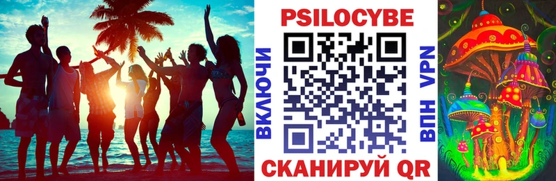 наркошоп  Вышний Волочёк  Псилоцибиновые грибы Magic Shrooms 